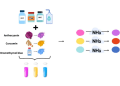 Sensor de amoniaco preparado a partir de sustancias naturales, que cambia de color según la cantidad de este gas presente en los alimentos. Créditos Universidad de Granada.