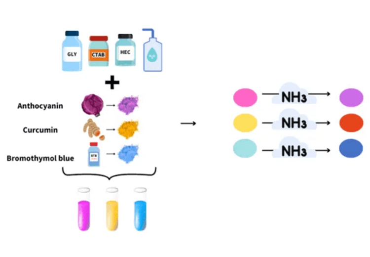 Sensor de amoniaco preparado a partir de sustancias naturales, que cambia de color según la cantidad de este gas presente en los alimentos. Créditos Universidad de Granada.
