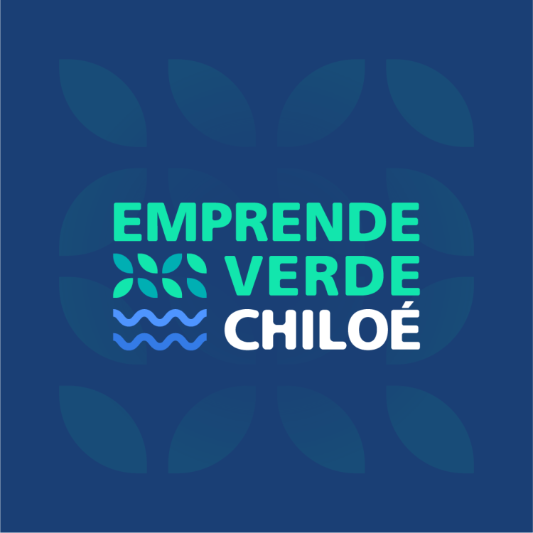 Innovación y sostenibilidad: UDD Impulsa el proyecto Emprende Verde Chiloé