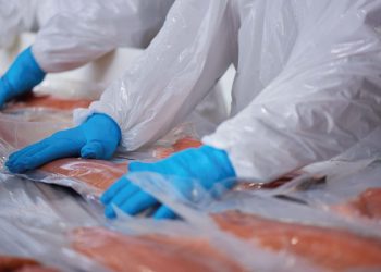 Ingresos por exportaciones de salmón chileno caen por segundo año consecutivo y acumulan una baja de 3,4%  