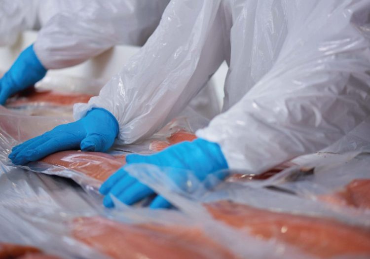 Ingresos por exportaciones de salmón chileno caen por segundo año consecutivo y acumulan una baja de 3,4%  