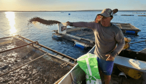 Acuicultura sostenible en la Amazonía