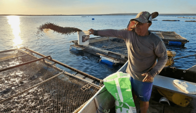 Acuicultura sostenible en la Amazonía