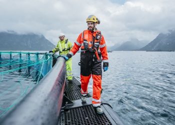 Cermaq aumenta ganancias a pesar de desafíos en el mercado global