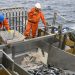 xperto advierte los riesgos del fraccionamiento pesquero en la disponibilidad de pescado para consumo humano