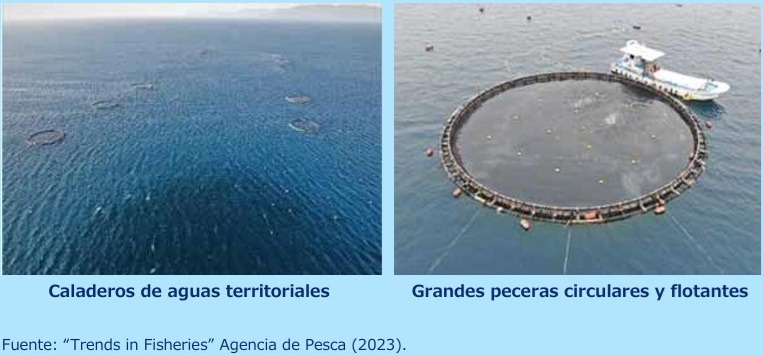 Créditos: Segmar Research 