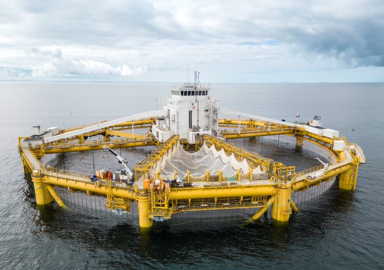 SalMar Aker Ocean obtiene aprobación para proyecto sumergible Ocean Farm 2