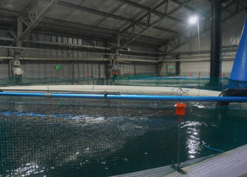 Land-based, un futuro incierto pero prometedor