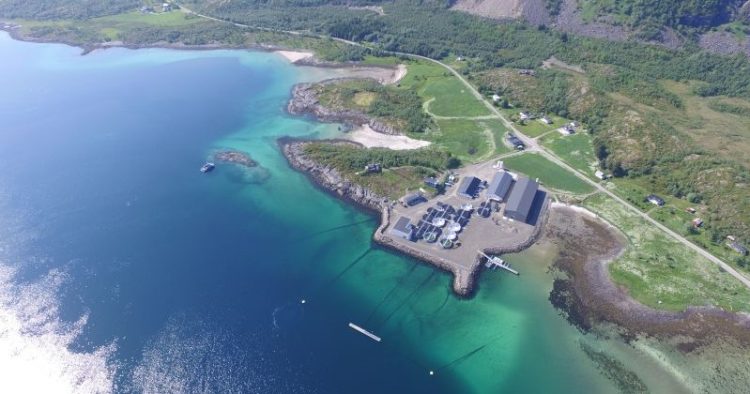 Pure Salmon Technology construirá nueva instalación de smolt RAS en Noruega.