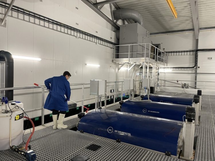 Moleaer Inc. revoluciona la acuicultura con nanoburbujas en Lødingen Fisk