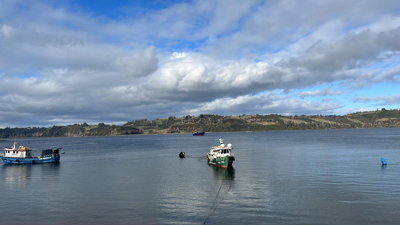 Innovación y sostenibilidad: UDD Impulsa el proyecto Emprende Verde Chiloé