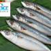 Consumidores impulsan crecimiento del mercado de pescado orgánico