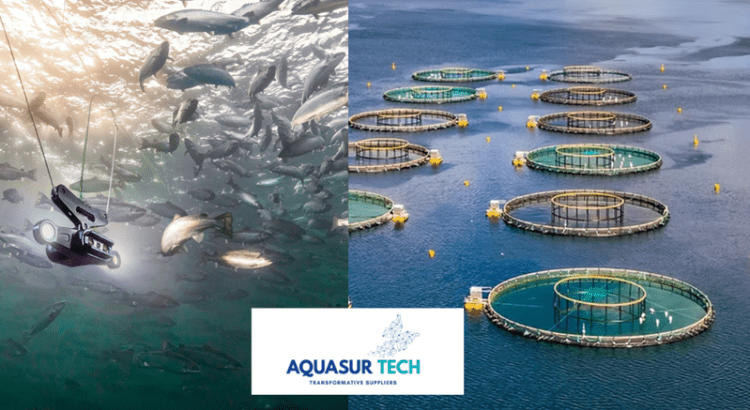 Camino a AquaSur Tech: Una vitrina para la innovación en acuicultura
