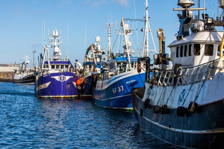 Aumento histórico en la producción mundial de harina y aceite de pescado en enero de 2025