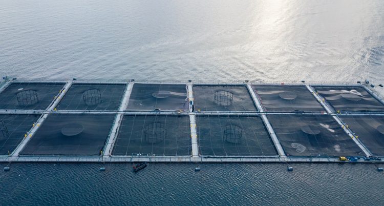 Oxzo presenta nuevas soluciones para la industria acuícola con su línea de negocios FARMING