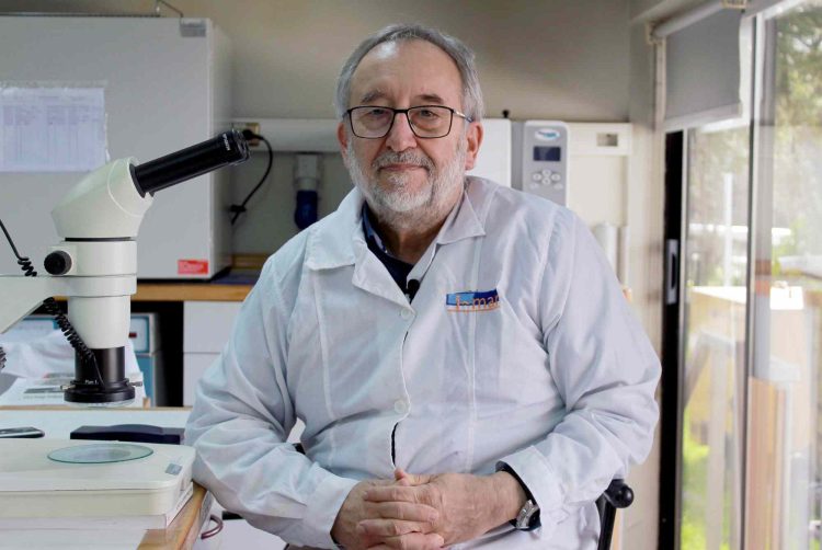 Dr. Alejandro Buschmann, investigador del centro i-mar de la Universidad de Los Lagos. Créditos ULagos.