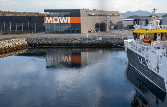 Mowi cerró el 2024 con resultados récord