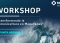 Unidad de acuicultura de MSD Salud Animal realizará workshop en Punta Arenas