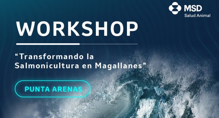 Unidad de acuicultura de MSD Salud Animal realizará workshop en Punta Arenas