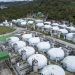 RAS vs flujo abierto y reúso: ¿Cuál es el sistema más eficiente?