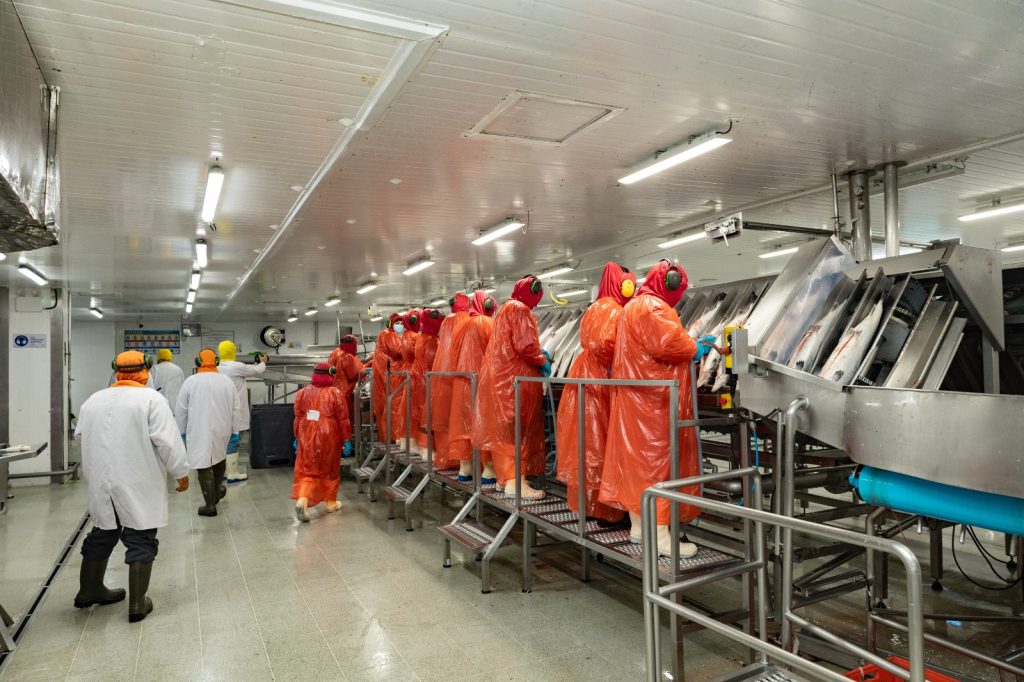 Gobernadores, alcaldes, empresarios y trabajadores se reúnen en primera sesión del Plan Salmón