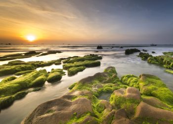 Proyecto de 5,3 millones de dólares estudiará puntos de inflexión marinos en el Reino Unido
