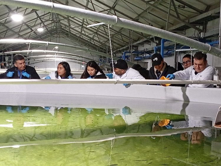 Mowi expande su innovador Turismo Salmonero a la Región de Los Lagos.