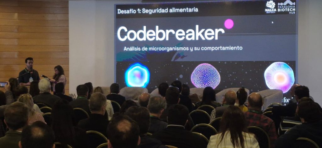 Startups: Impulsores claves de la innovación