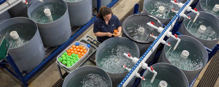Cargill obtiene la certificación ASC para sus plantas de alimentos en Noruega