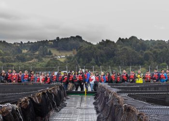 Chiloé vive el "Turismo Salmonero" de Mowi