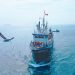 Posicionan a la industria peruana de anchoveta como líder mundial en sostenibilidad ambiental