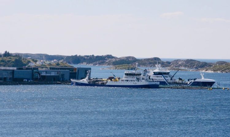 Barcos wellboat descargan pescado en SalMar InnovaMar. Créditos: Ronny Teigås.