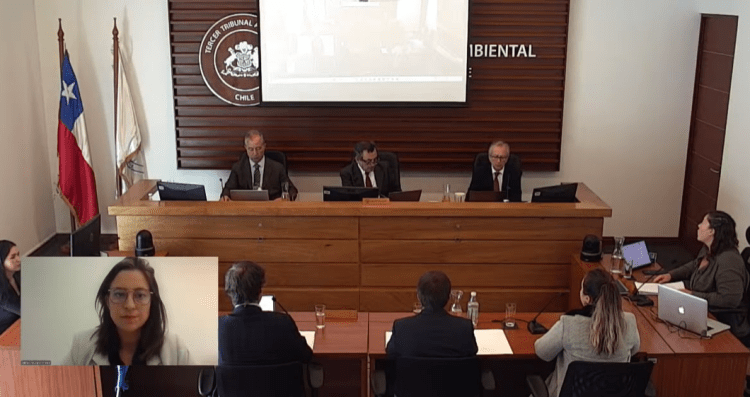 Tribunal ambiental