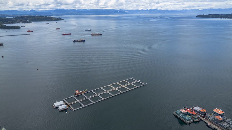 Oxigenación y corrientes marinas: cuando el problema viene de otro lado