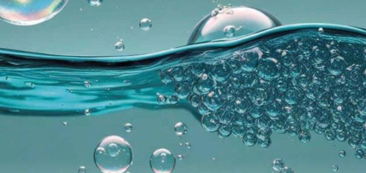 Oxigenación: El aire bajo el agua que define la salud y el desempeño del salmón
