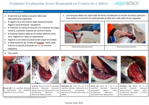 Innovador proyecto colaborativo: Monitoreo avanzado para la salud branquial del salmón