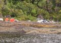 Empresas salmoneras limpian residuos tras inspección en Aysén