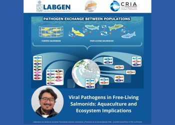 Realizan nueva revisión sobre presencia y transmisión de patógenos virales en salmónidos de vida libre