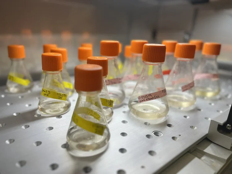 GMGI lanza prueba genética rápida contra algas tóxicas
