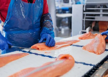 SalMar recorta 10 mil toneladas en su cosecha trimestral