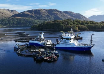 Startup SeaQureFarming adquiere Dawnfresh Farming de Mowi Escocia