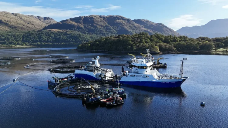 Startup SeaQureFarming adquiere Dawnfresh Farming de Mowi Escocia