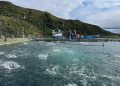 Tribunal Ambiental revocó caducidad de la RCA de proyecto de exportadora Los Fiordos en Aysén   