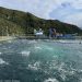 Tribunal Ambiental revocó caducidad de la RCA de proyecto de exportadora Los Fiordos en Aysén   