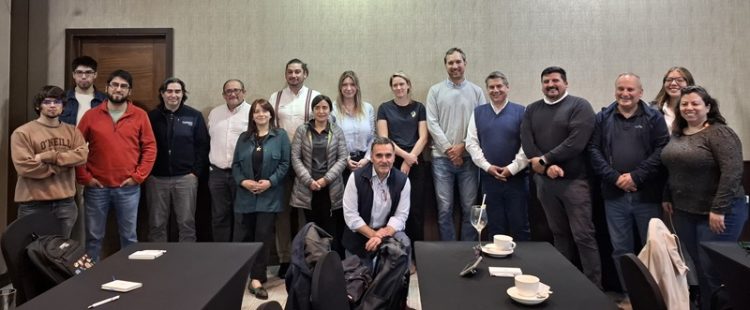 TALLER PROYECTO BRANQUIAS