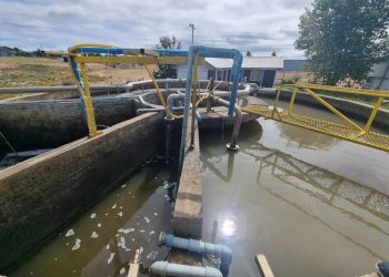 SMA ordena a Aqua Austral suspender descarga de residuos líquidos
