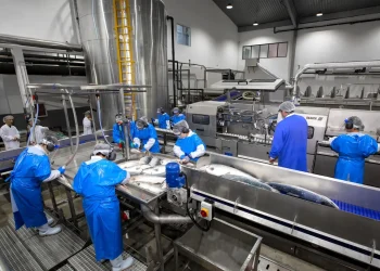 Nordic Aqua apuesta por salmón de mayor tamaño para consolidarse en el mercado chino