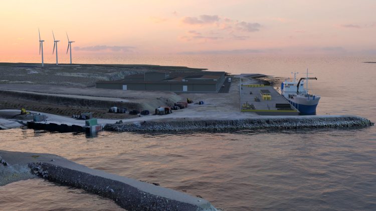 Evalúan en Falklands Island ambicioso proyecto de salmonicultura como nuevo motor económico