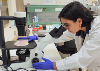 Innovación natural en acuicultura: Alternativa eficaz para reducir el uso de antibióticos en salmones