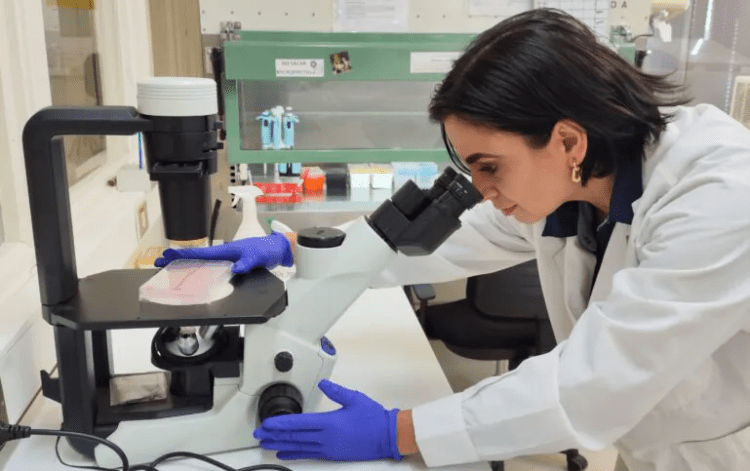 Innovación natural en acuicultura: Alternativa eficaz para reducir el uso de antibióticos en salmones